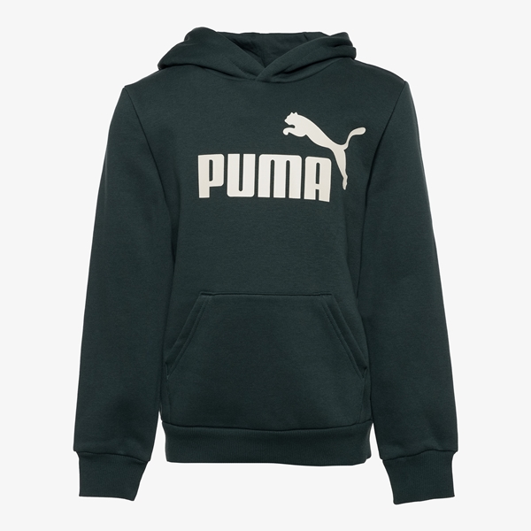 Puma Essentials hoodie 1