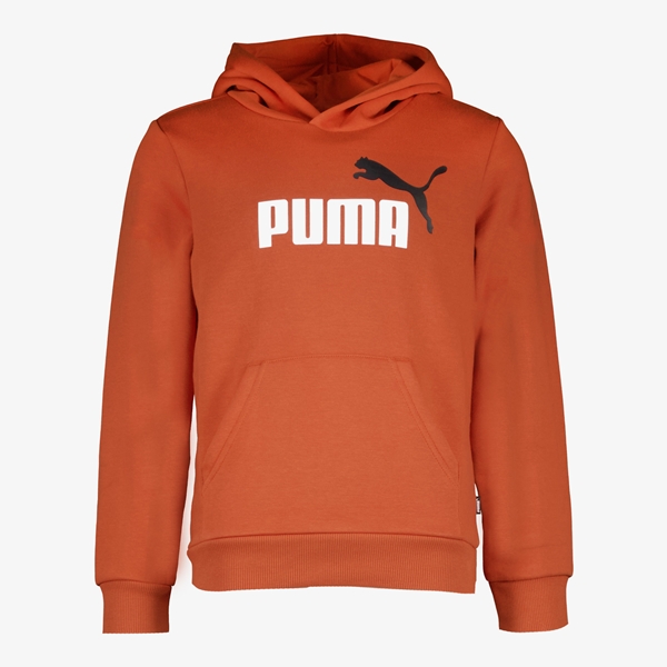 Puma Essentials kinder hoodie 1