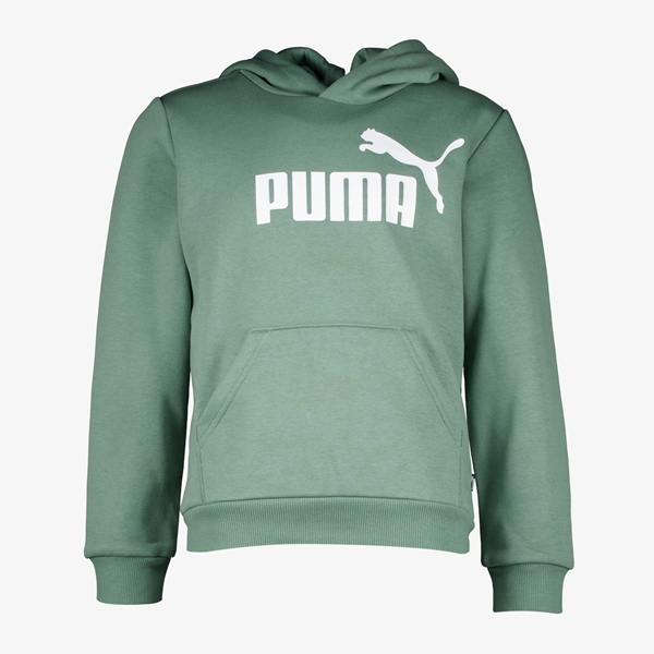 Puma ESS Big Logo kinder hoodie groen 1