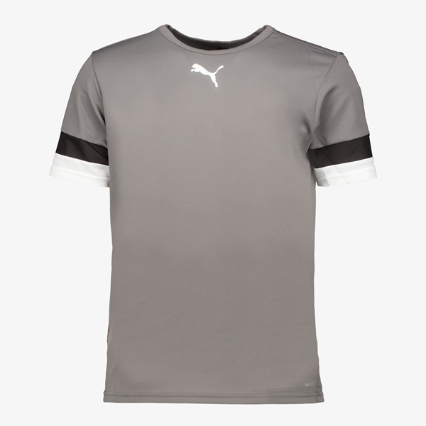 Puma Teamliga Jersey heren sport T-shirt grijs 1