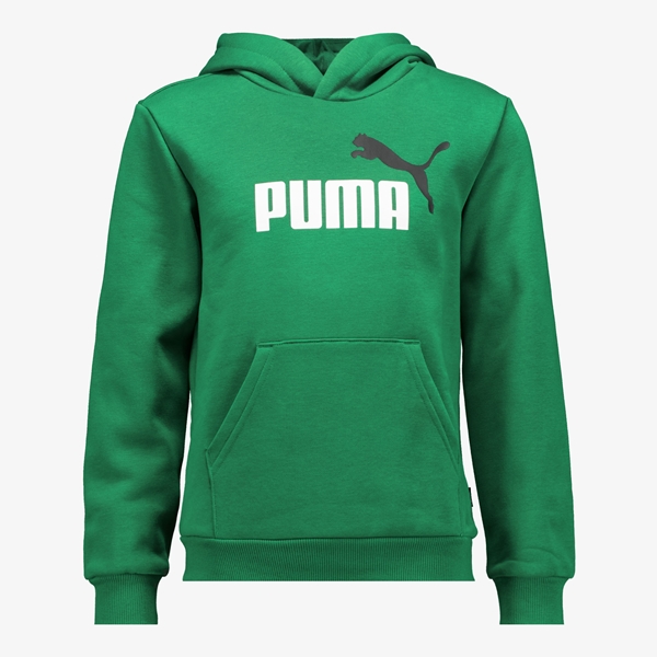 Puma Essentials Big Logo kinder hoodie groen 1