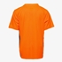 Puma Ftbl Play Graphic Tee kinder voetbal T-shirt 2