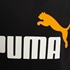 Puma Essential NO2 hoodie 3