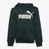 Puma Essentials hoodie