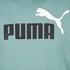 Puma Essentials heren hoodie 3