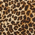 TwoDay dames T-shirt met luipaardprint 3