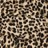 TwoDay dames rok met luipaardprint 3