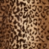TwoDay dames winterjas met luipaardprint 3