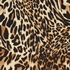 TwoDay dames rok met luipaardprint 3