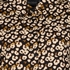 TwoDay lange dames blouse luipaardprint bruin 3