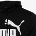 Puma Essentials Big Logo heren hoodie zwart 3