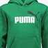 Puma Essentials Big Logo kinder hoodie groen 3