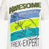 Unsigned jongens T-shirt met tyrannosaurus 3