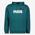 Puma Essentials Big Logo heren hoodie groen