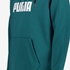 Puma Essentials Big Logo heren hoodie groen 3