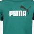 Puma ESS 2 Col Logo heren T-shirt groen 3