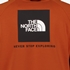 The North Face Redbox heren hoodie roestbruin 4