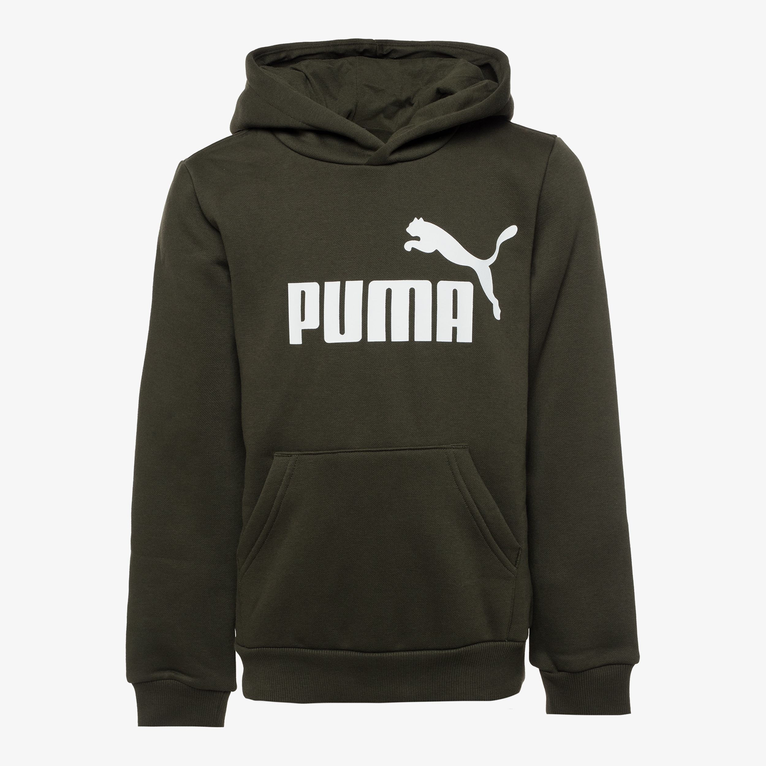 Puma Essentials Big Logo Kinder Hoodie Online Bestellen | Scapino